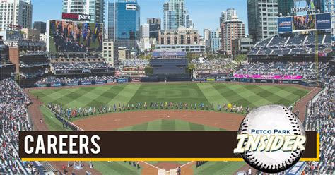 petco internship|san diego padres internship program.